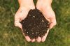 250px-Real_Compost[1].jpg